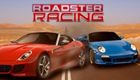 Родстер Гонки / Roadster Racing