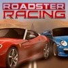 Родстер Гонки / Roadster Racing