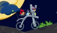 Angry Birds. Space Bike