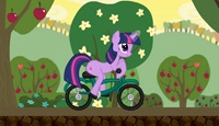 Little Pony. Bike Racing