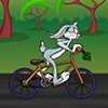 Велогонки / Bike Racing