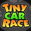 Гонка Маленького Автомобиля / Tiny Car Race